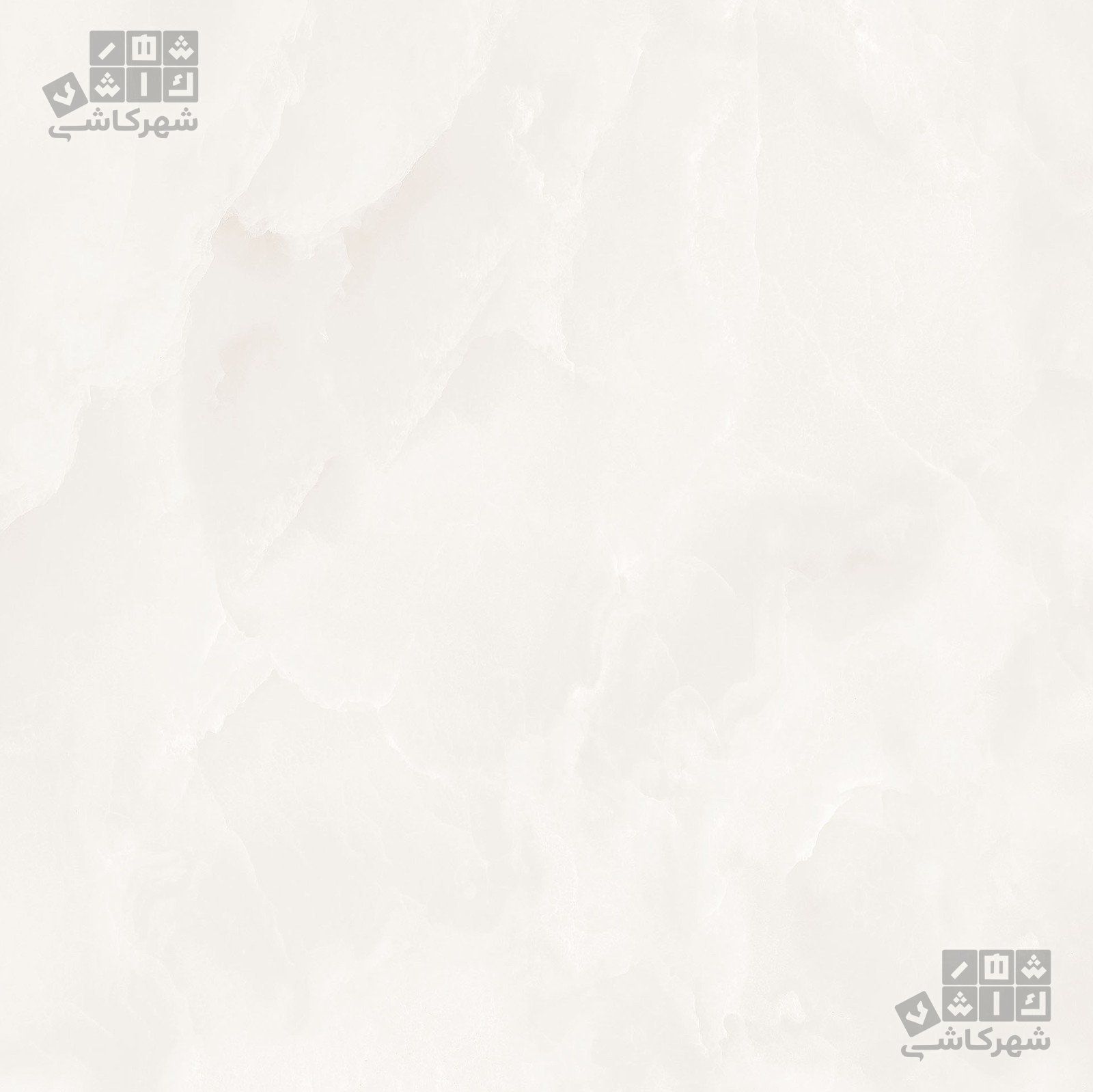 مارینا طوسی براق 60*60 د1