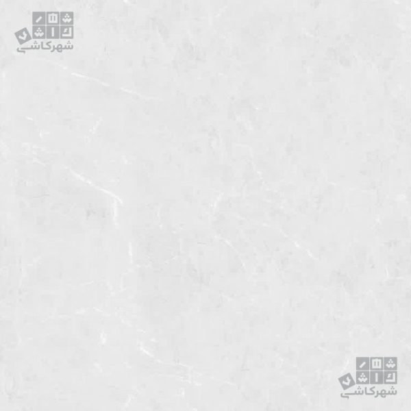 پروژه دو طوسی روشن 60*60 د2