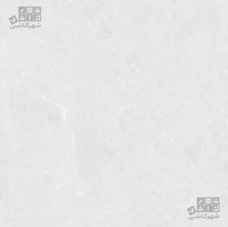 پروژه دو طوسی روشن 60*60 د2