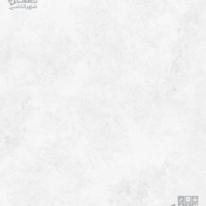 آتشکوه طوسی براق بدنه سفید60*60 د2